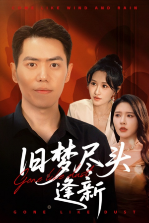 旧梦尽头逢新（46集）网盘在线观看