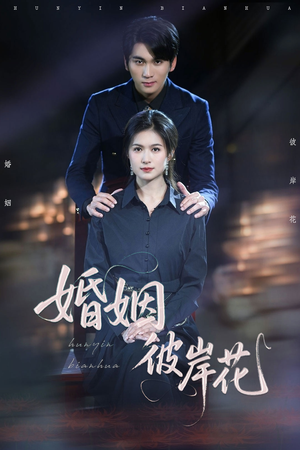 婚姻彼岸花（63集）精彩短剧追不停