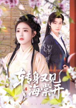 转身又见海棠开(79集) 转身又见海棠开(79集)剧情简介