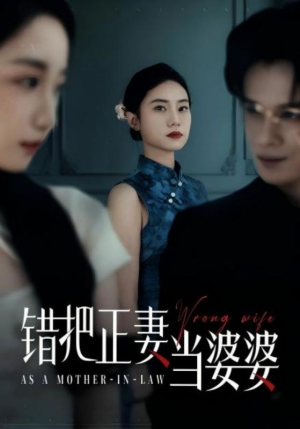 错把正妻当婆婆(46集) 错把正妻当婆婆(46集)高分推荐免费看