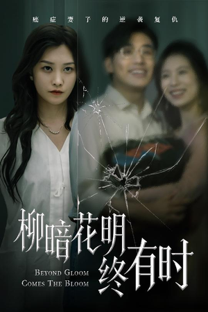 柳暗花明终有时(50集) 柳暗花明终有时(50集)高分佳作免费看