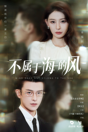 不属于海的风（40集）在线看完整版