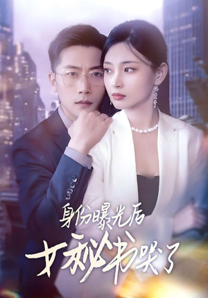 身份曝光后女秘书哭了(31集) 身份曝光后女秘书哭了(31集)夸克网盘在线看