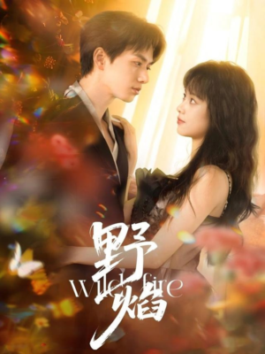 野焰(60集) 野焰(60集)免费短剧大全