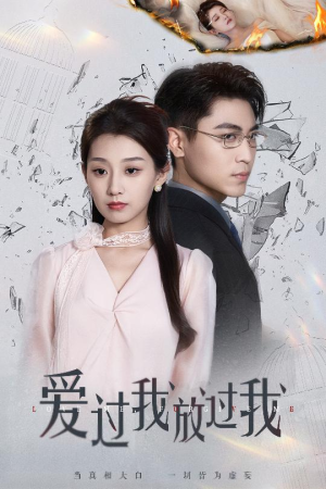 爱过我放过我(51集) 爱过我放过我(51集)热播短剧分享