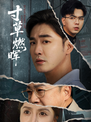 寸草燃晖(70集) 寸草燃晖(70集)短剧在线观看