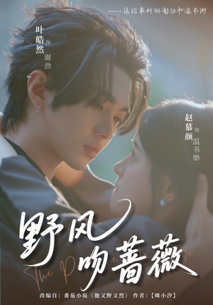 野风吻蔷薇(78集) 野风吻蔷薇(78集)精彩短剧又来了