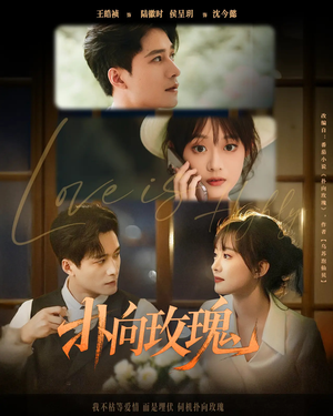 扑向玫瑰(77集) 扑向玫瑰(77集)短剧太上头了