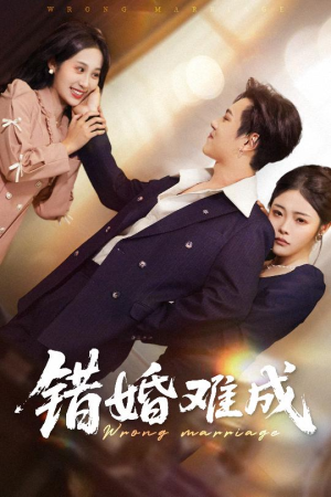 错婚难成(45集) 错婚难成(45集)全集免费看短剧