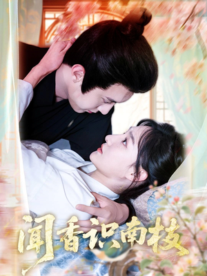 闻香识南枝(60集) 闻香识南枝(60集)更新时间一览表