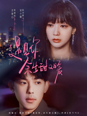 遇见你余生甜又暖(70集) 遇见你余生甜又暖(70集)精彩短剧下载