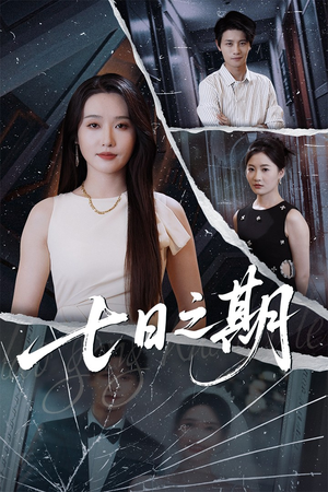 七日之期(90集) 七日之期(90集)最火短剧热播