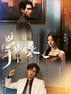 掌中蝶(84集) 掌中蝶(84集)精彩短剧分享。