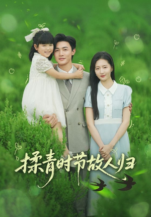 揉青时节故人归（60集）推荐好短剧