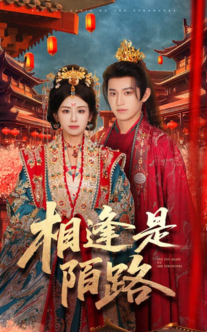 相逢是陌路(50集) 相逢是陌路(50集)剧情简介