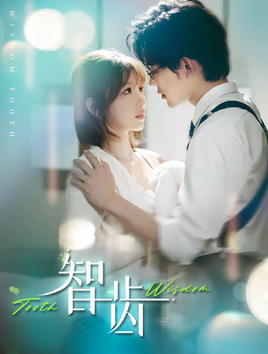 智齿（59集）全集一次看完