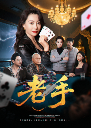 老手(36集) 老手(36集)追短剧关注我