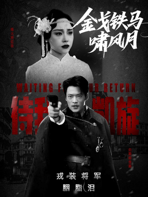 金戈铁马啸风月(54集) 金戈铁马啸风月(54集)免费在线看