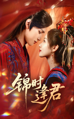 锦时逢君（55集）热播短剧全集看