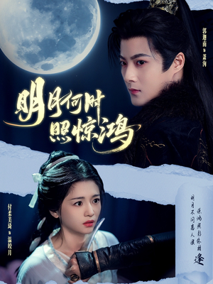 明月何时照惊鸿（80集）全集免费