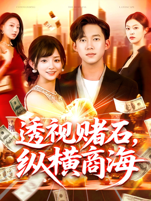 透视赌石,纵横商海(80集) 透视赌石,纵横商海(80集)解说文案