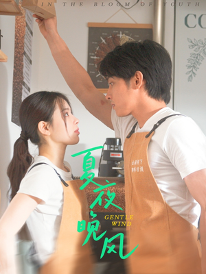 夏夜晚风（12集）怎么看全集