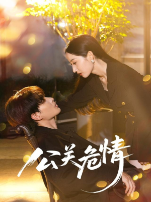 公关危情(60集) 公关危情(60集)剧情简介