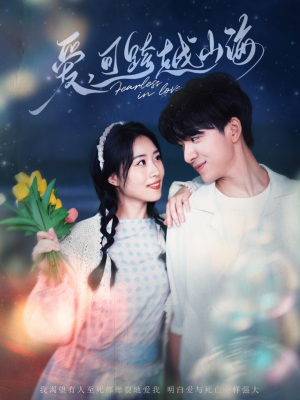 爱可跨越山海（55集）百度网盘资源