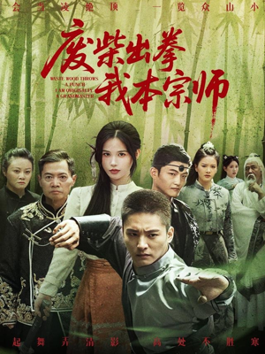 废柴出拳我本宗师(61集) 废柴出拳我本宗师(61集)免费观看完整版