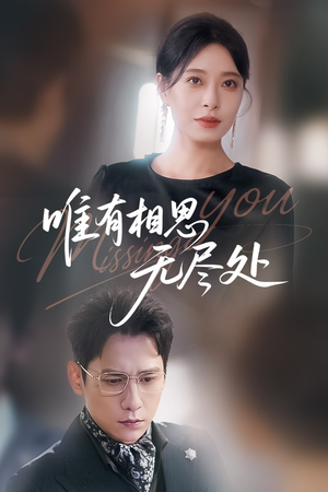 唯有相思无尽处(66集) 唯有相思无尽处(66集)评价怎么样