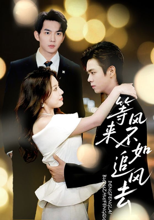 等风来不如追风去(72集) 等风来不如追风去(72集)最新热剧免费看