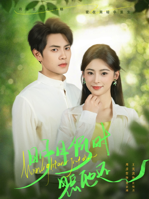 明月何时照他还(73集) 明月何时照他还(73集)番茄免费短剧