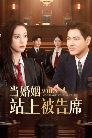 当婚姻站上被告席(30集) 当婚姻站上被告席(30集)第一集