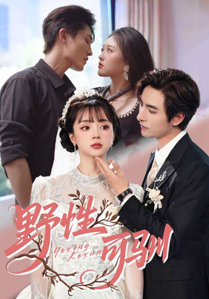 野性可驯(63集) 野性可驯(63集)在线看免费版