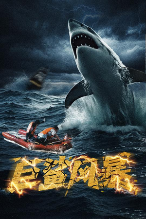 巨鲨风暴(59集) 巨鲨风暴(59集)超爽短剧推荐
