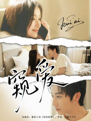 窥爱(96集) 窥爱(96集)不用花钱看全剧