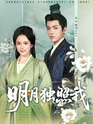 明月独照我(80集) 明月独照我(80集)短剧全集免费看