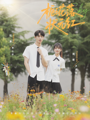 栀子花落状元红（50集）热门短剧推广