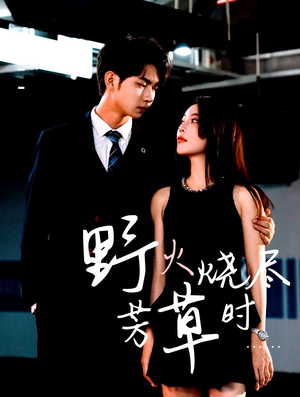 野火烧尽芳草时（65集）悬疑短剧推荐