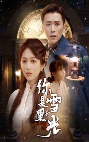 你是雪里的光(64集) 你是雪里的光(64集)精彩热门短剧