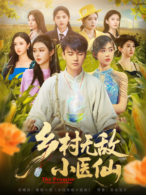 乡村无敌小医仙(87集) 乡村无敌小医仙(87集)在线免费观影