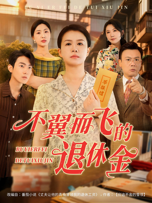 不翼而飞的退休金（63集）大结局一气呵成