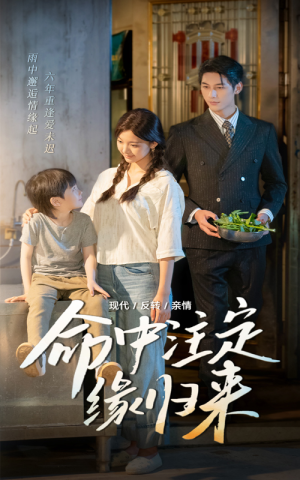 命中注定缘归来(63集) 命中注定缘归来(63集)短剧免费看全集