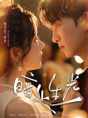 暗处生光(82集) 暗处生光(82集)正能量短剧分享