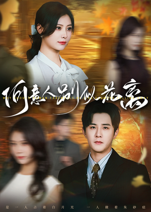 何意人别似花离(61集) 何意人别似花离(61集)短剧热播抢先看