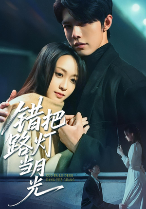 错把路灯当月光(40集) 错把路灯当月光(40集)在线看