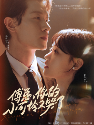 傅总你的小可怜又哭了(80集) 傅总你的小可怜又哭了(80集)精彩短剧追不停