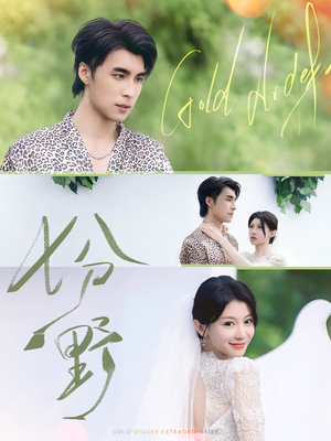 七分野(78集) 七分野(78集)在哪个平台看