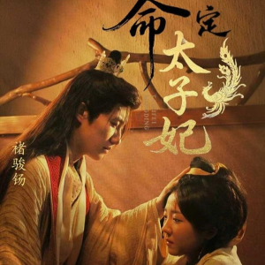 命定太子妃（63集）分享热门短剧