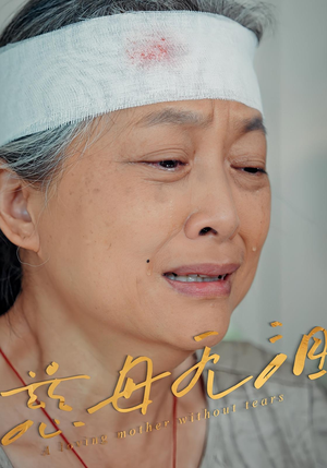 慈母无泪(30集) 慈母无泪(30集)网上可以看吗